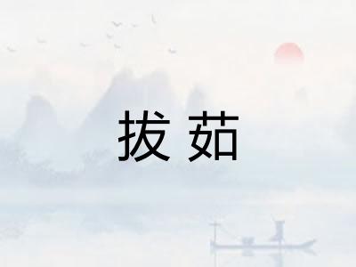 拔茹