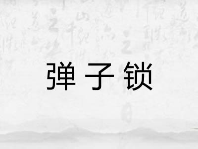 弹子锁