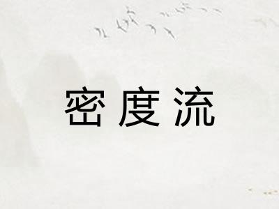密度流