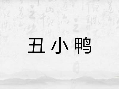 丑小鸭 丑小鸭