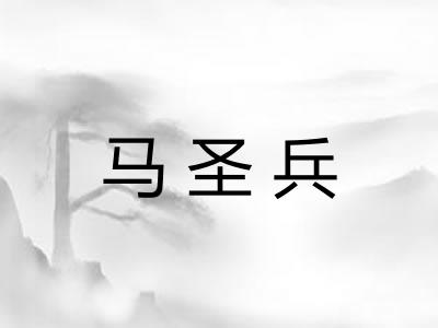 马圣兵 马圣兵