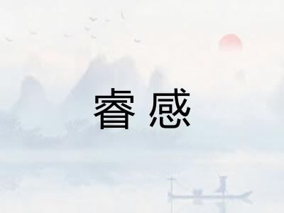 睿感
