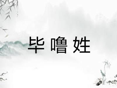 毕噜姓 毕噜姓