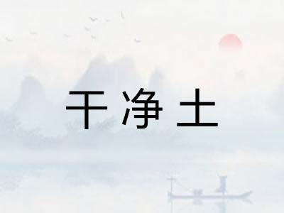 干净土