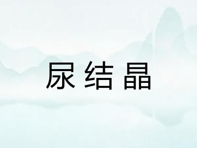 尿结晶