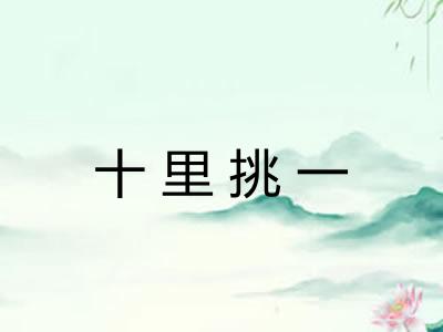 十里挑一