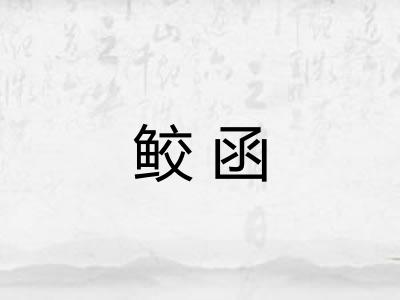 鲛函