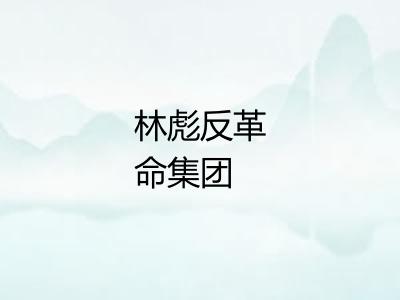 林彪反革命集团