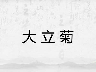 大立菊