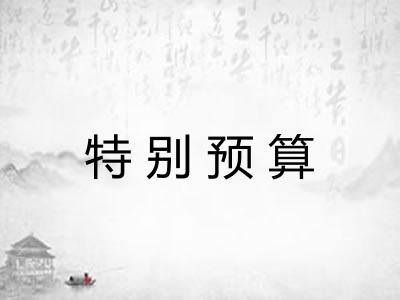 特别预算