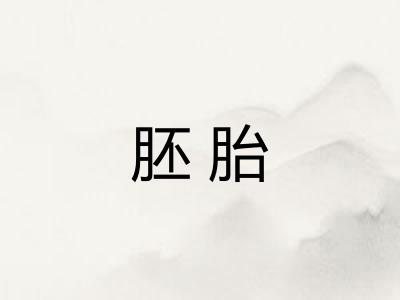 胚胎 胚胎