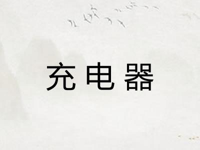 充电器 充电器