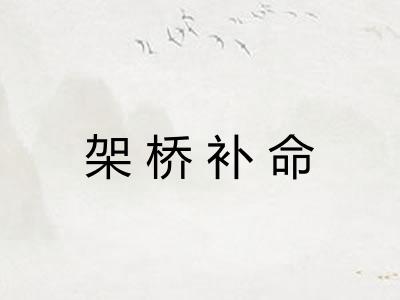 架桥补命 架桥补命