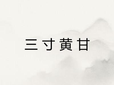 三寸黄甘 三寸黄甘