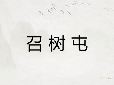 召树屯