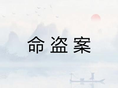 命盗案