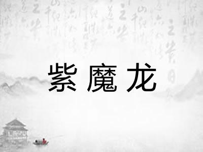 紫魔龙