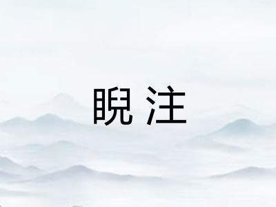 睨注