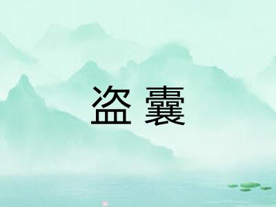 盗囊