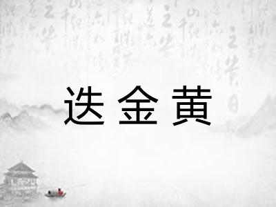 迭金黄