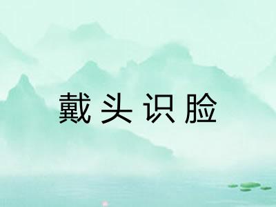 戴头识脸