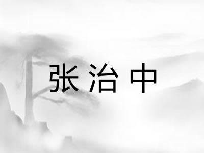 张治中