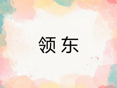 领东