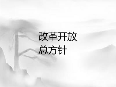 改革开放总方针 改革开放总方针
