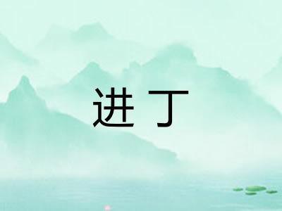 进丁