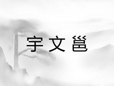 宇文邕