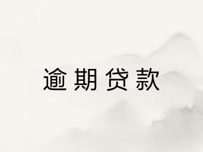 逾期贷款