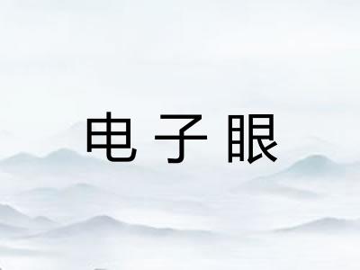 电子眼 电子眼