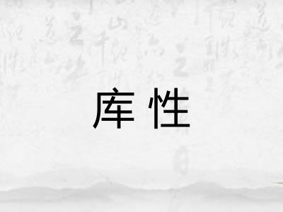 库性