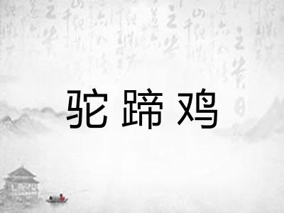 驼蹄鸡