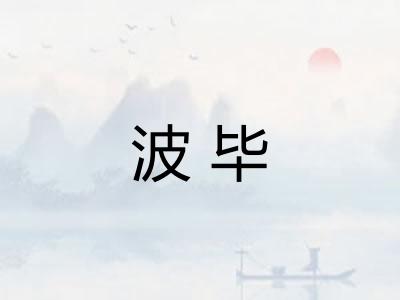 波毕
