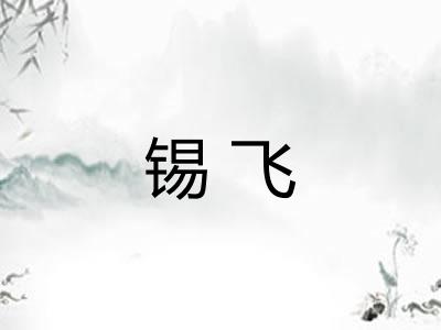 锡飞 锡飞
