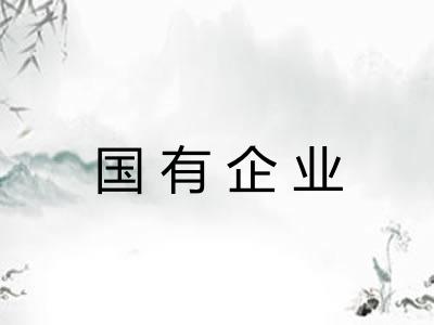 国有企业