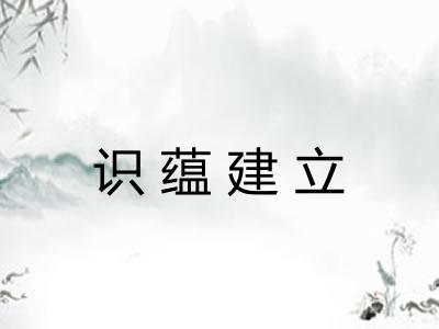 识蕴建立 识蕴建立