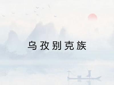 乌孜别克族 乌孜别克族