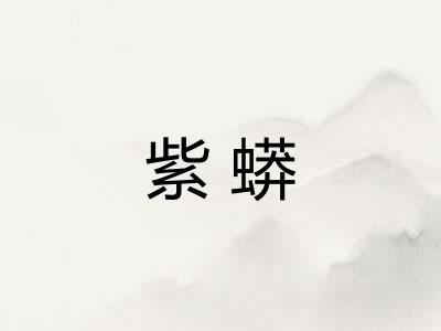 紫蟒