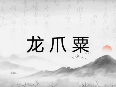 龙爪粟 龙爪粟