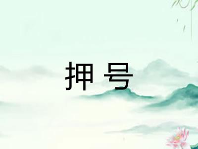 押号