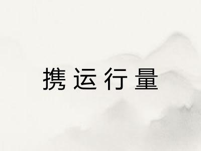 携运行量 携运行量