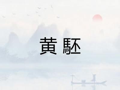 黄駓