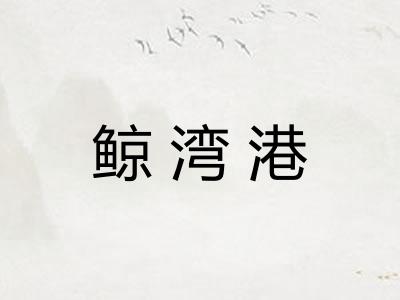 鲸湾港 鲸湾港