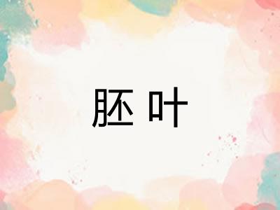 胚叶