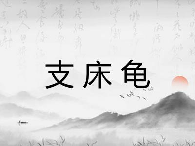 支床龟