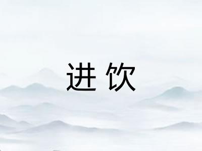 进饮 进饮