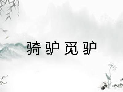 骑驴觅驴