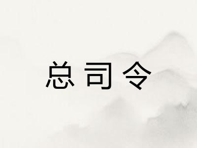 总司令